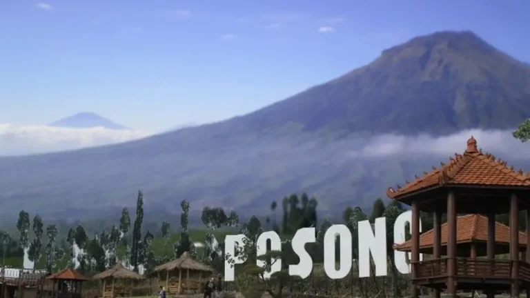 mengulas-film-terbaik-delapan-gunung-yang-menginspirasi