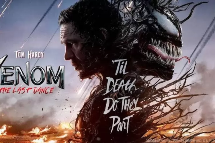 venom-the-last-dance-film-aksi-yang-menggambarkan-perjuangan